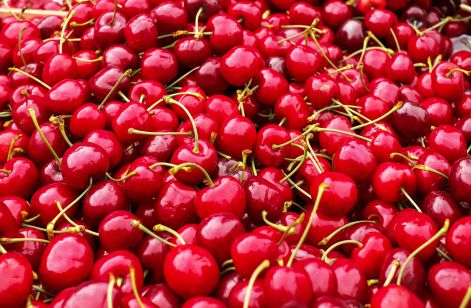 cherries-1465801.jpg